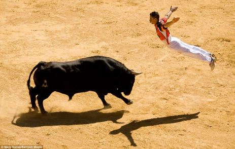bull-leaping